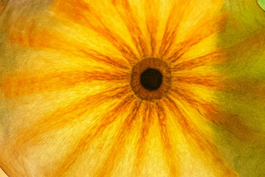 베타 존에서 벌어지는 경쟁