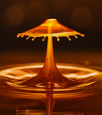 몰입형 탐험 세계